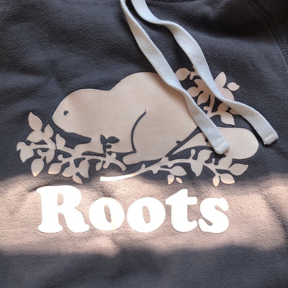 Roots Grey hooded sweatshirt - Picture 4 of 13
